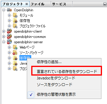 NetBeans で OpenDolphin - Server の依存ファイルをダウンロードする